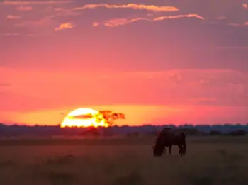 Central Kalahari - Botswana campsites