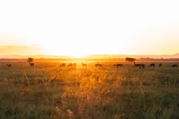 - Mozambique campsites