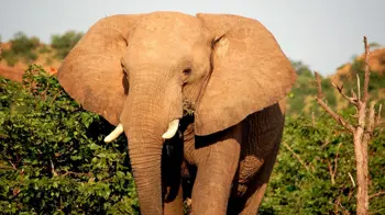 North East - Botswana campsites