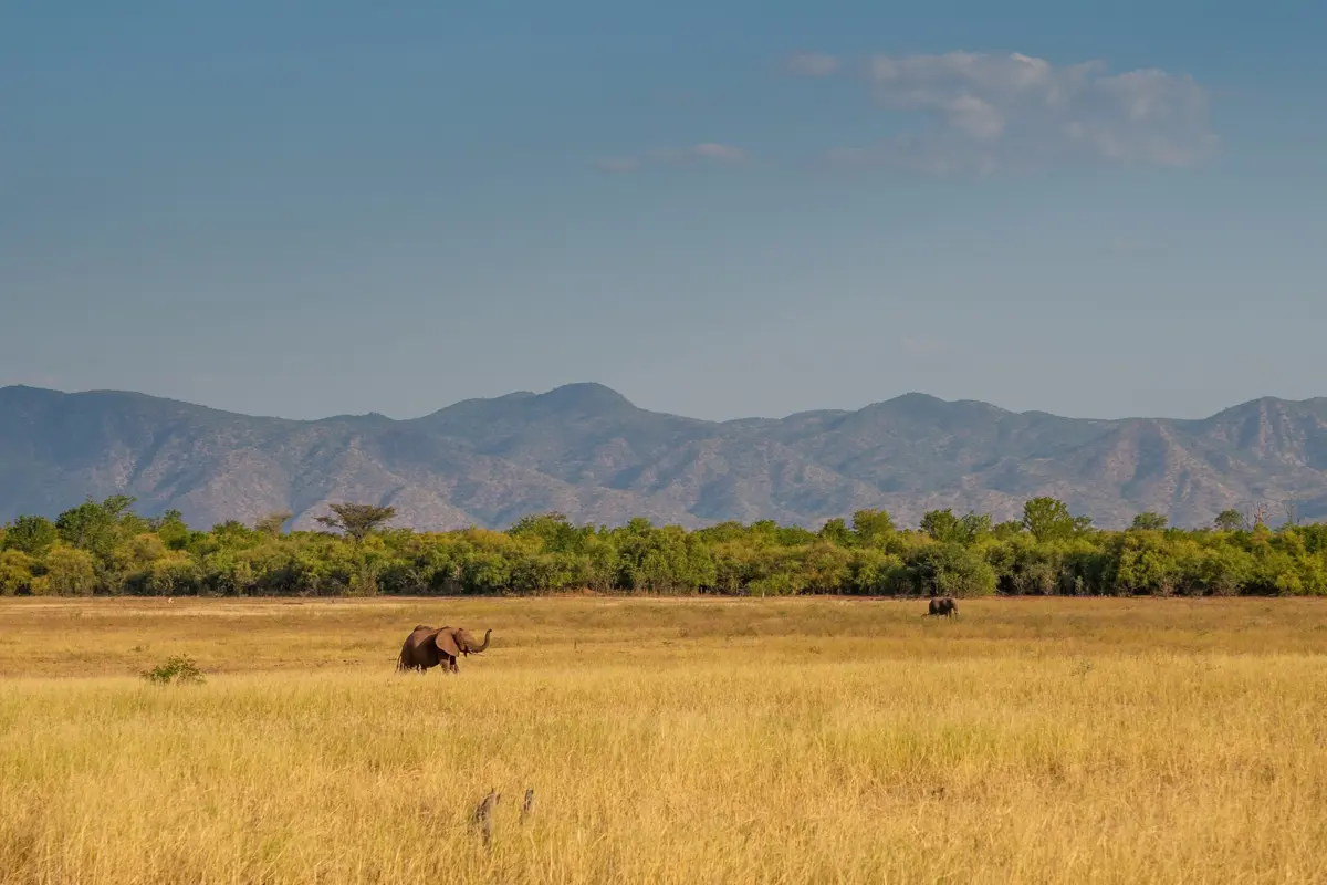 Camping in Zimbabwe - Southern Africa
